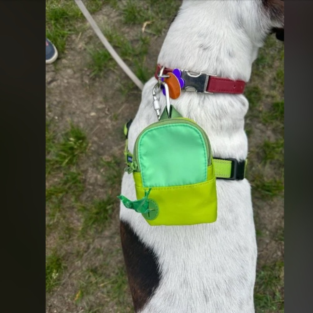 Heart to Tail Pet Backpack NWT for poo bags, treats, kibble, great bag charm